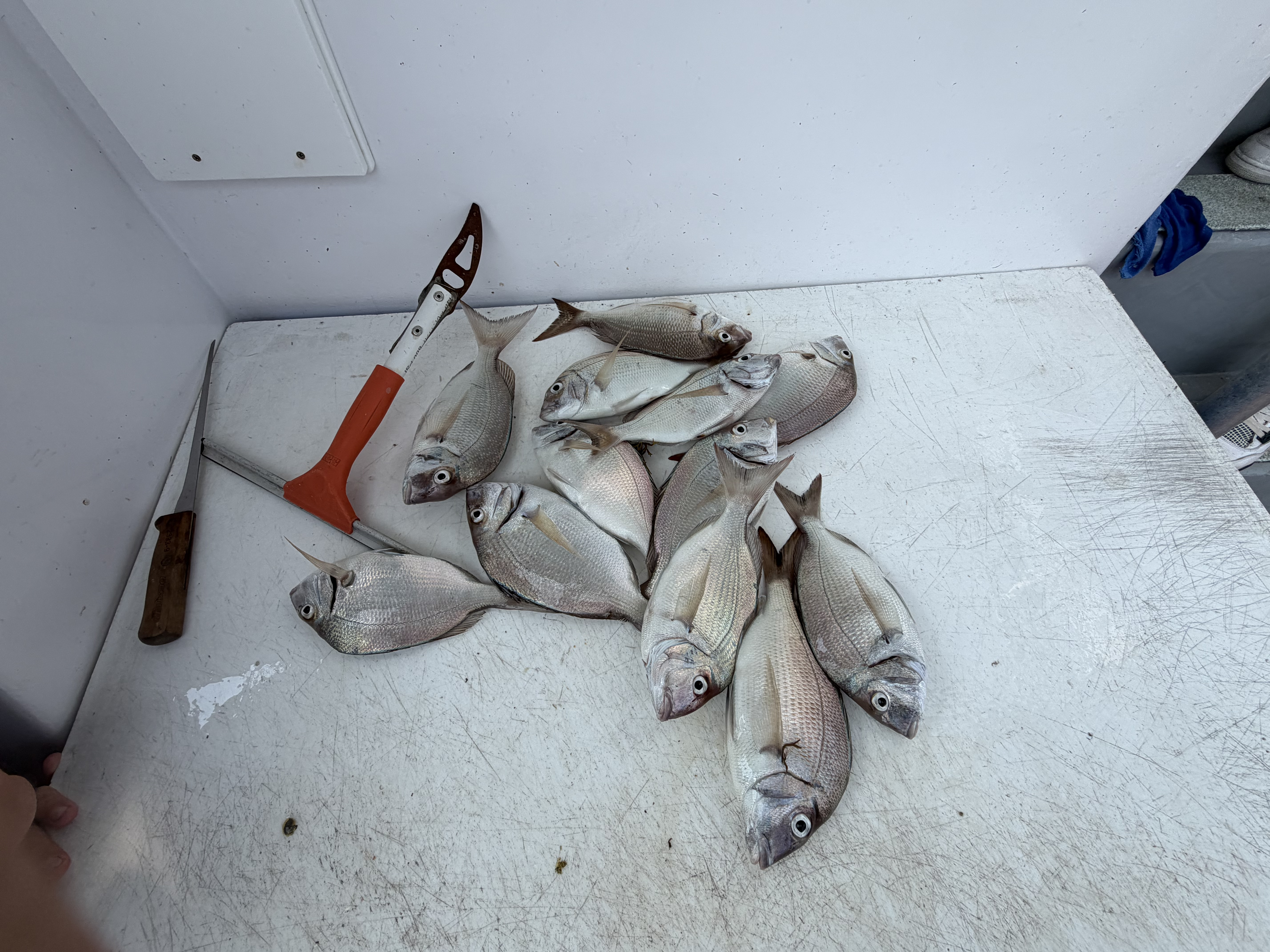 2026 Youth Fishing Charter gallery image 36