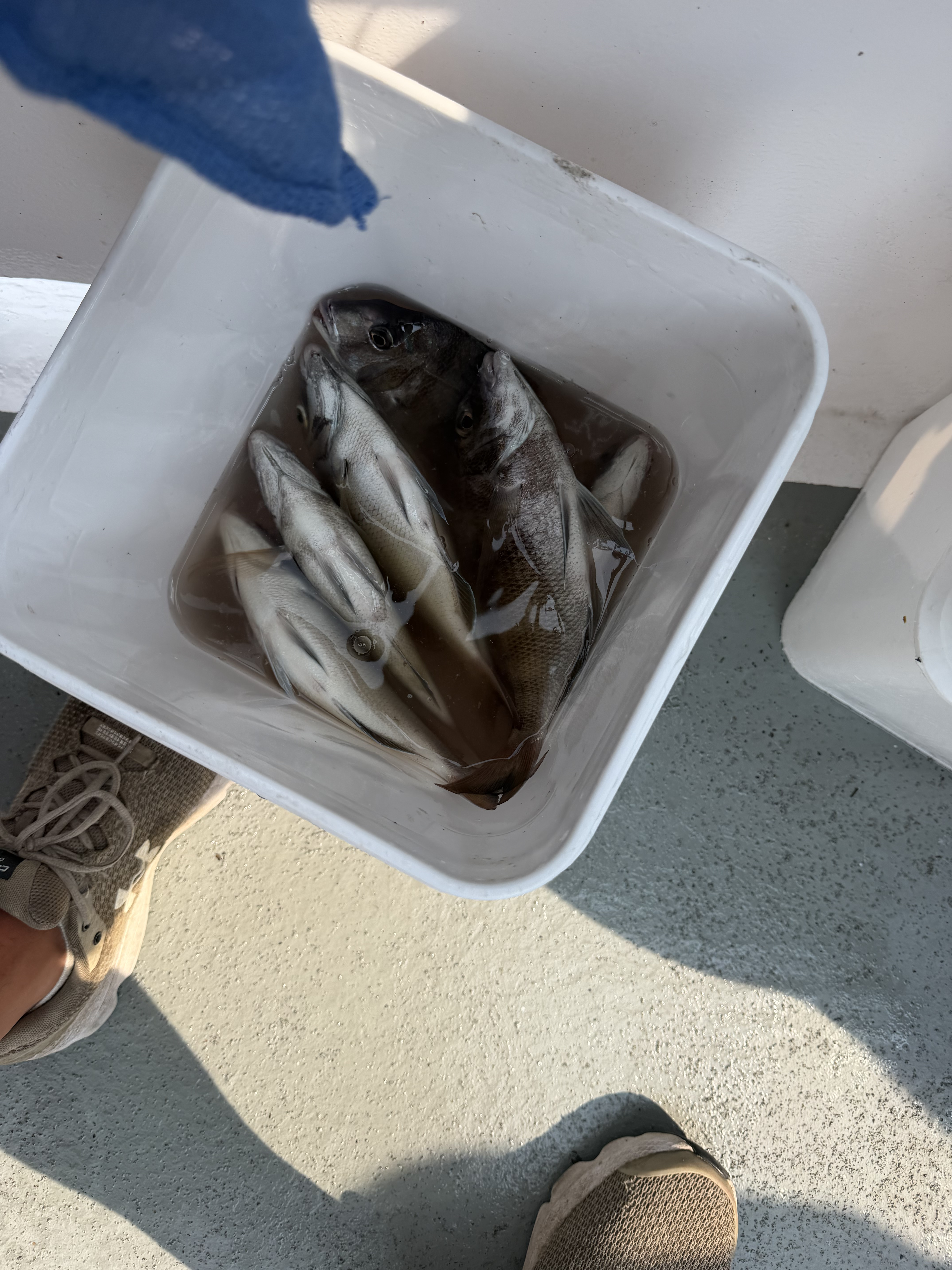 2026 Youth Fishing Charter gallery image 38